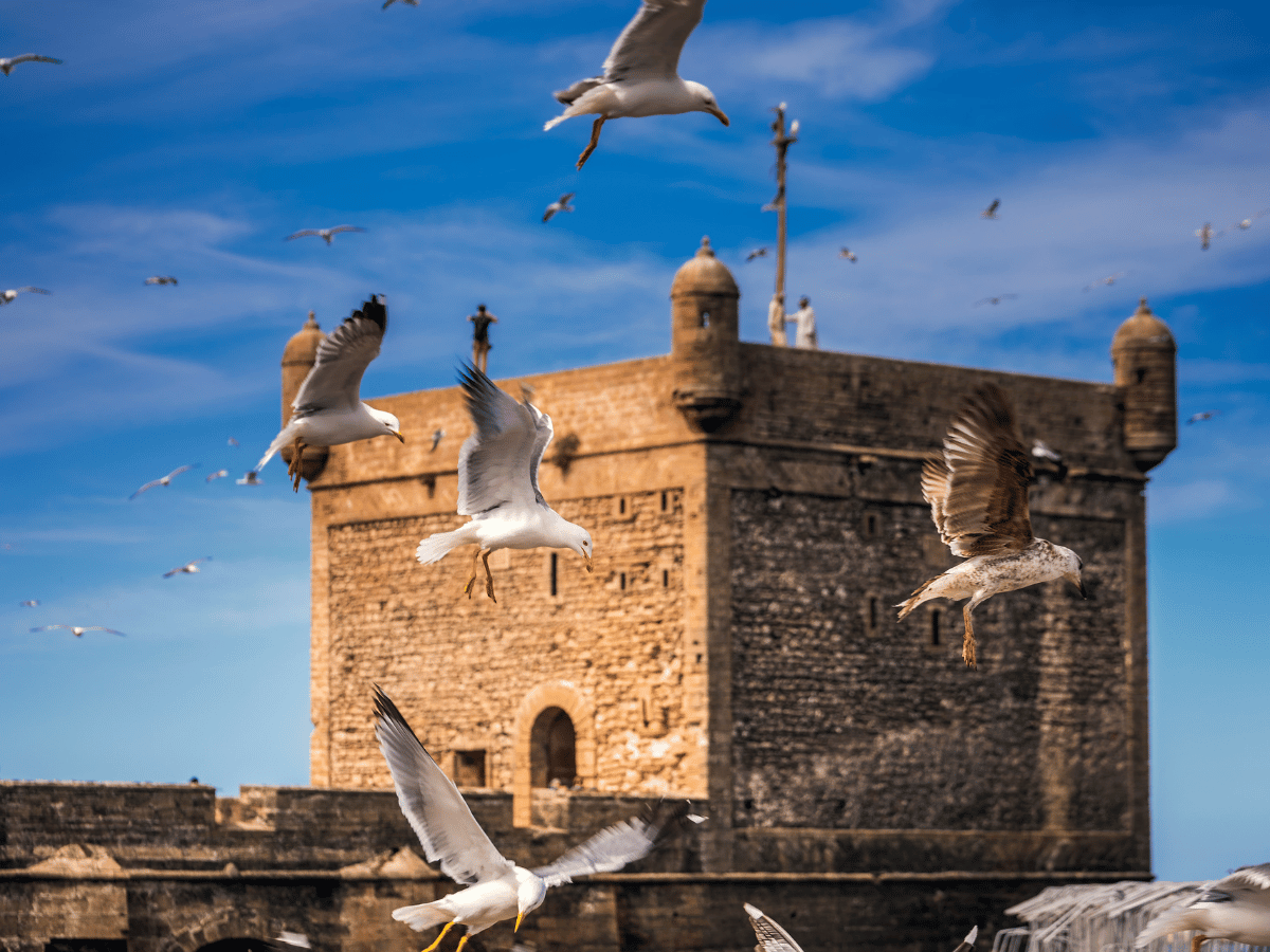 viaggiopermarocco (10)