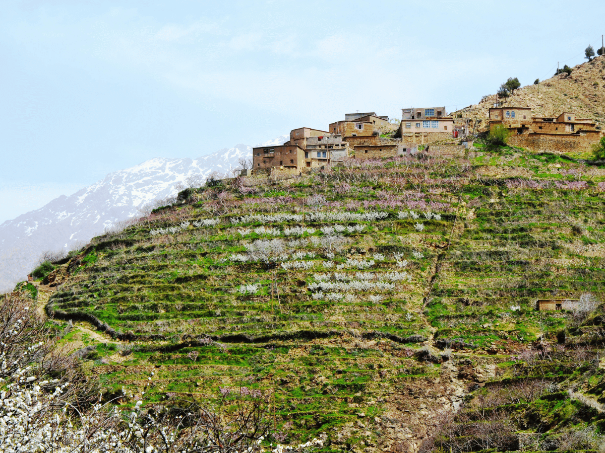 viaggiopermarocco (40)