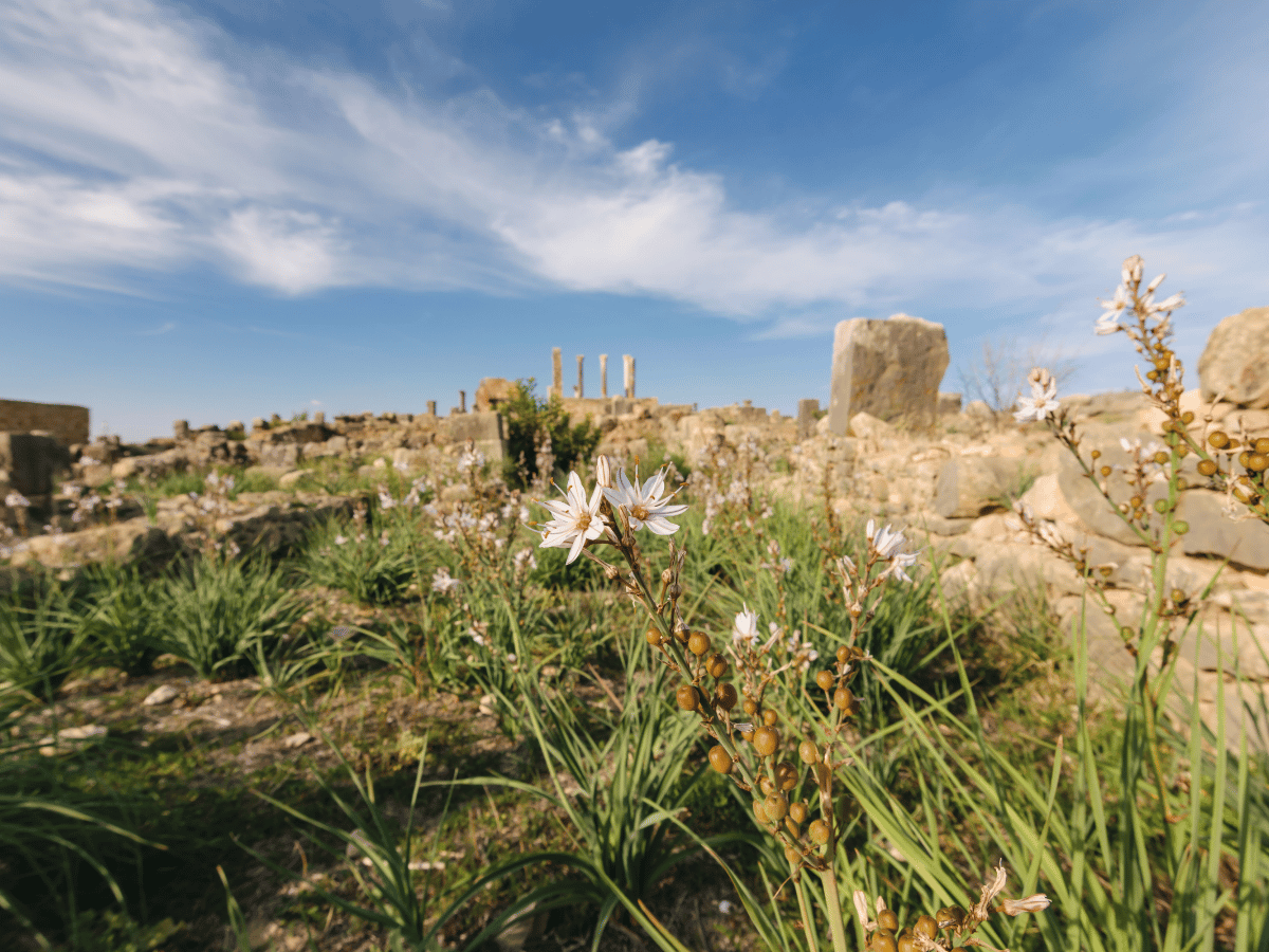 viaggiopermarocco (45)