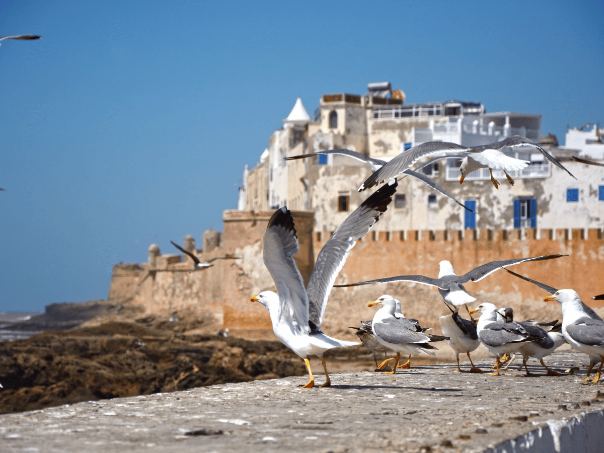 viaggiopermarocco (82)