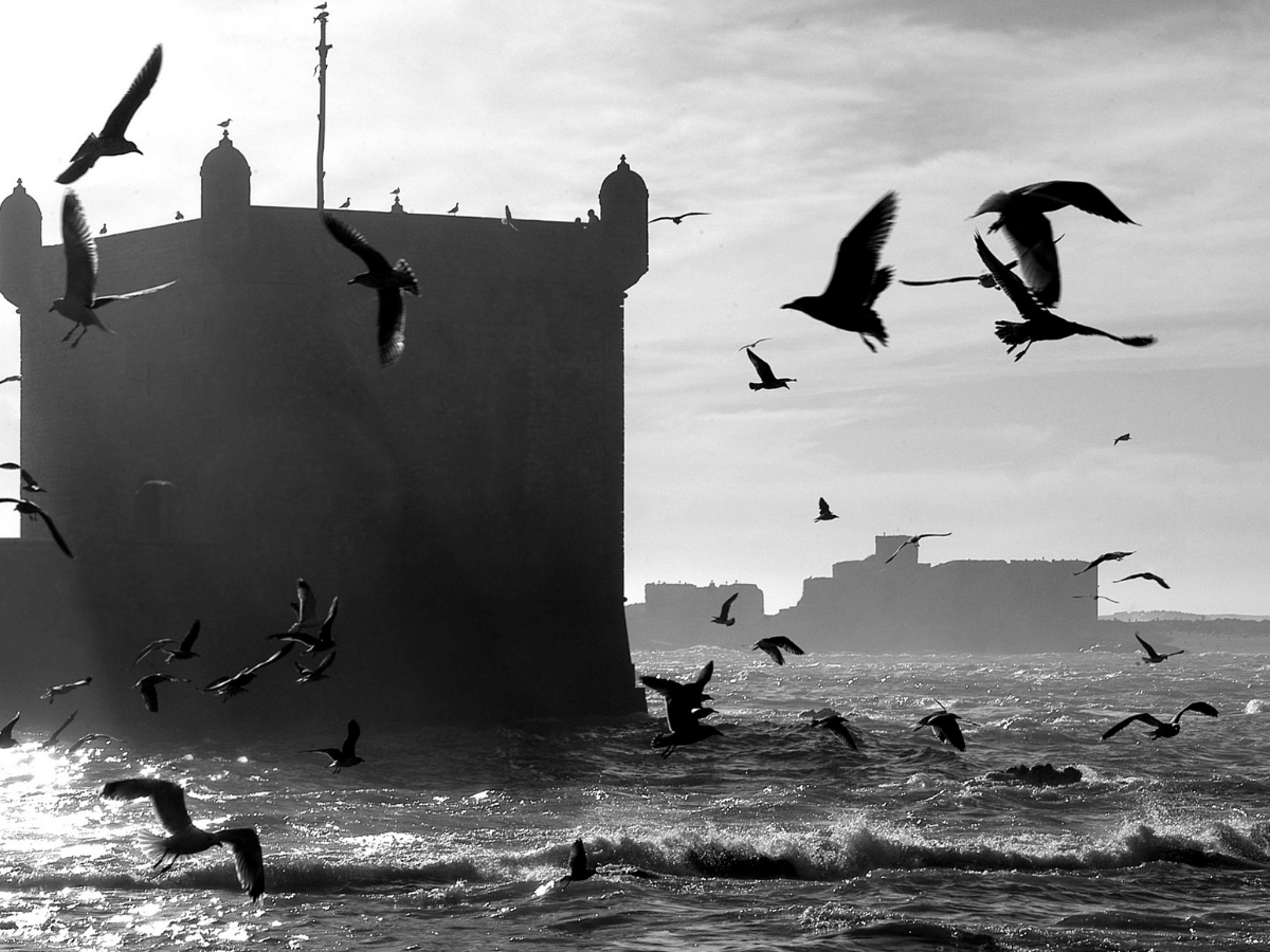 viaggiopermarocco (94)