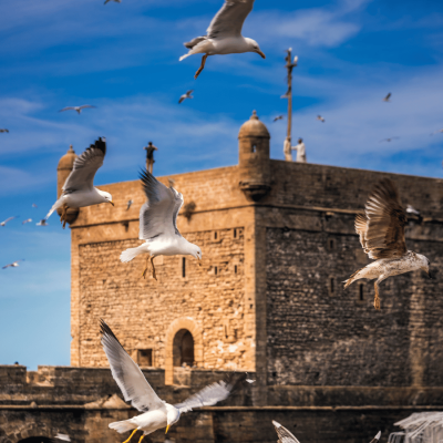 viaggiopermarocco (10)