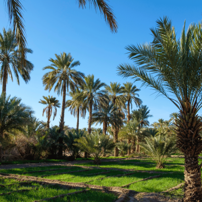 viaggiopermarocco (14)